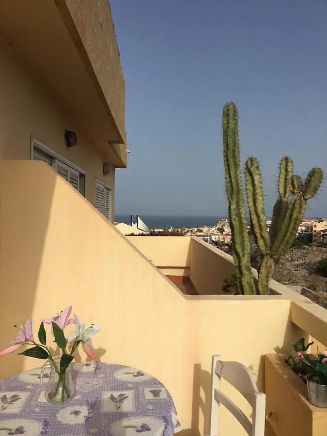 アパート ホテルMare Verde Sea View アデヘ スペイン